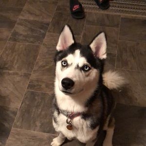 Meet your Posher, Katelin